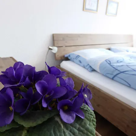 Haus Viktoria A شقة زيرمات