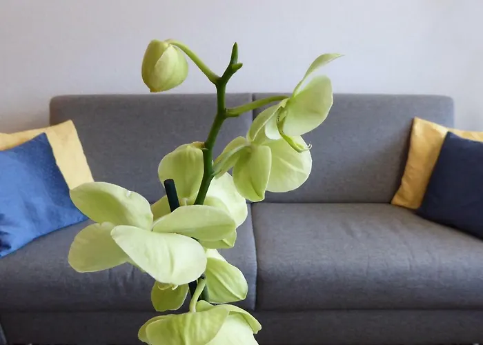 ハウス ビクトリア A アパート *