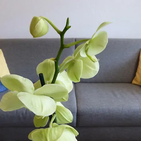 Haus Viktoria A Appartement *